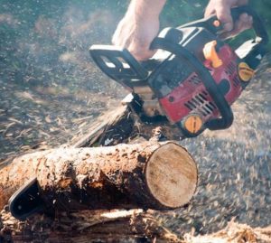 GARDENING & FORESTRY